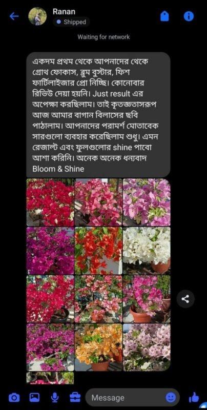 WhatsApp Image 2025-12-28 at 7.39.48 PM