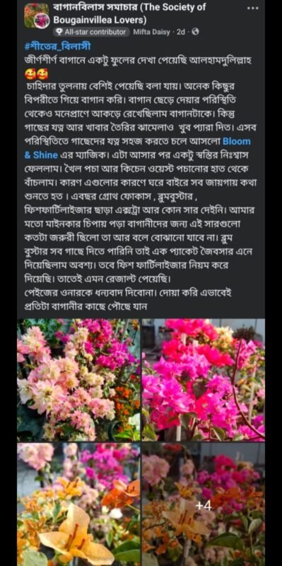 WhatsApp Image 2025-12-28 at 7.39.49 PM (1)