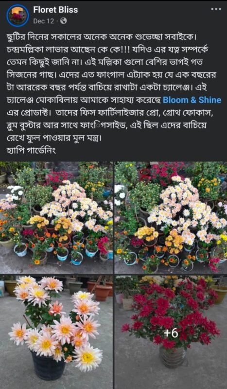 WhatsApp Image 2025-12-28 at 7.39.49 PM