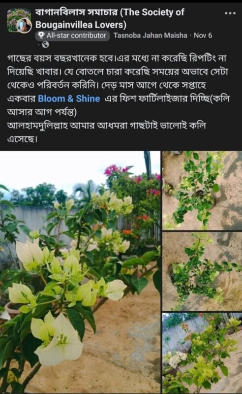 WhatsApp Image 2025-12-28 at 7.39.50 PM (1)