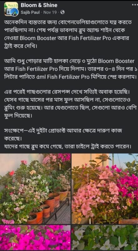 WhatsApp Image 2025-12-28 at 7.39.50 PM (2)