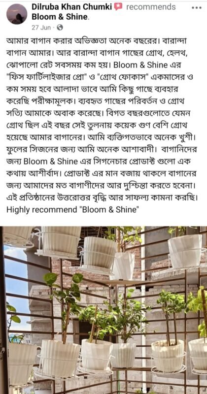 WhatsApp Image 2025-12-28 at 7.39.50 PM