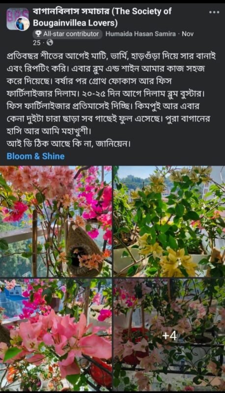 WhatsApp Image 2025-12-28 at 7.39.51 PM