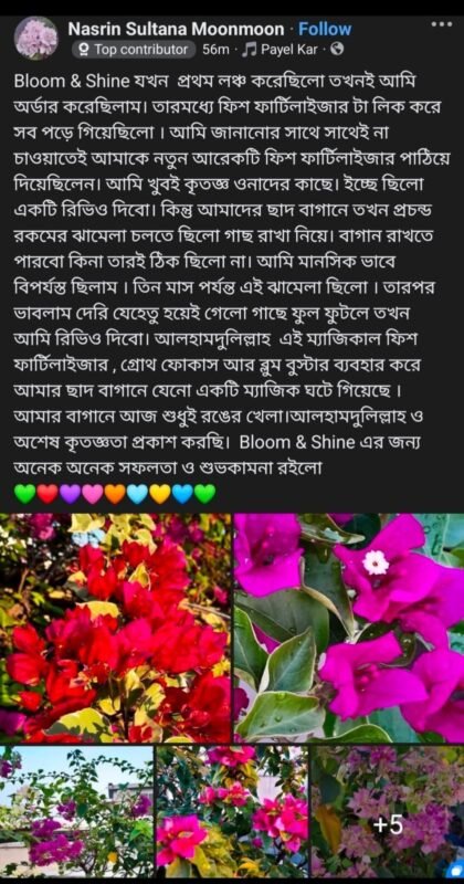 WhatsApp Image 2025-12-28 at 7.39.52 PM (1)