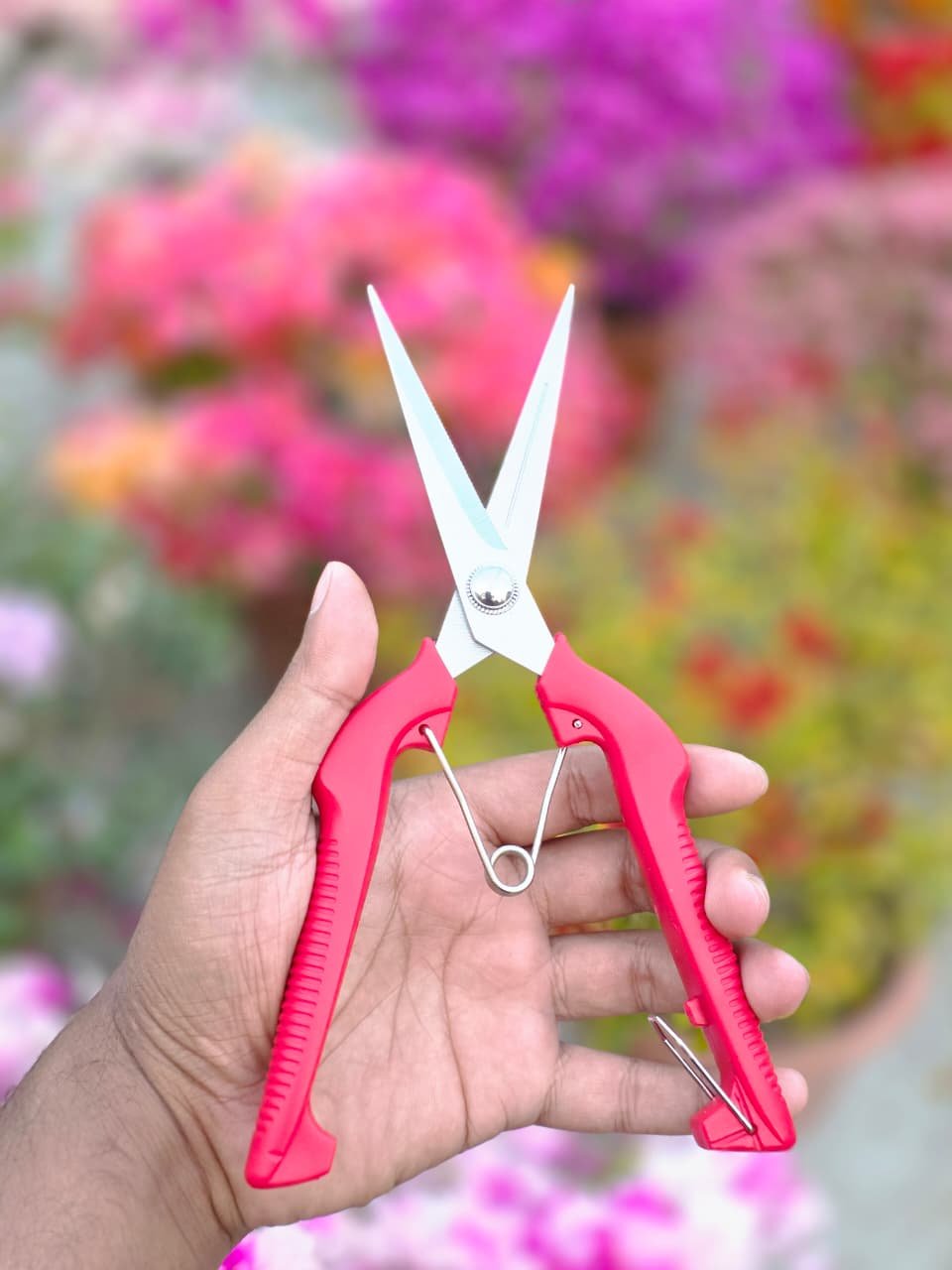 WhatsApp Image 2026-01-09 at 5.13.35 PM Secateur - Image 1